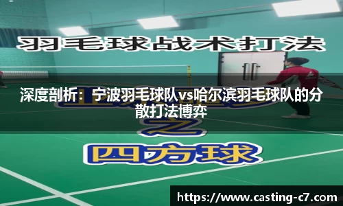 深度剖析：宁波羽毛球队vs哈尔滨羽毛球队的分散打法博弈