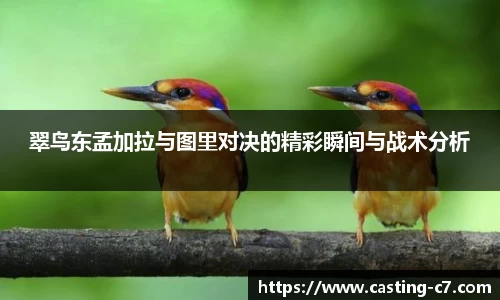 翠鸟东孟加拉与图里对决的精彩瞬间与战术分析